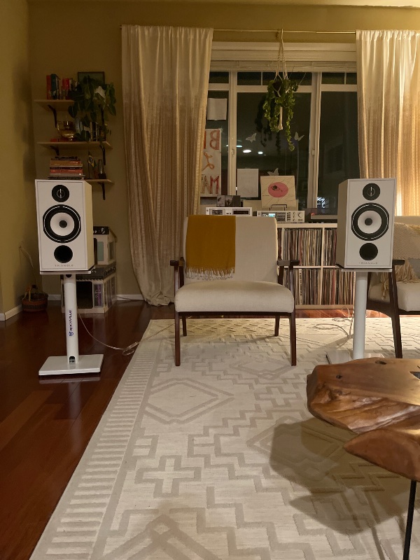 User audio setup