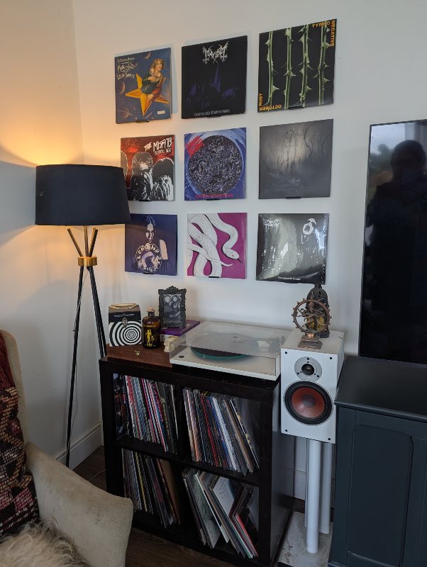 User audio setup