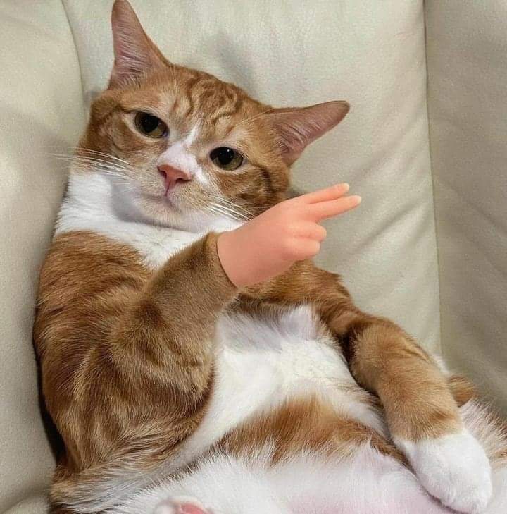 Bokon0n