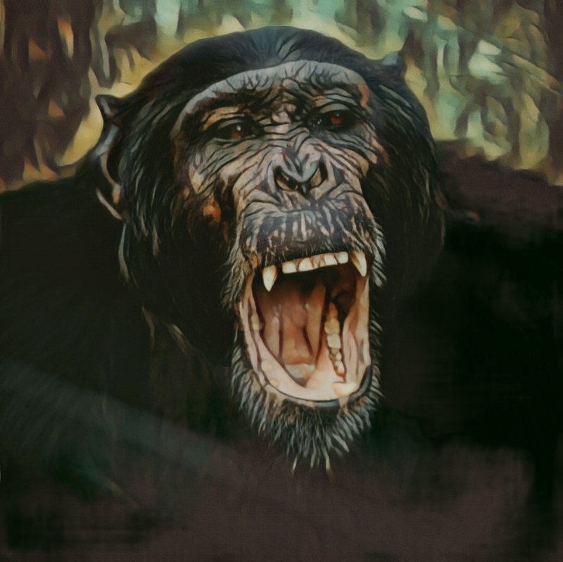 angry_bonobo