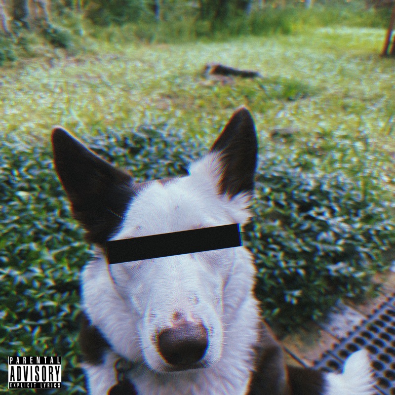 the.vinyldon